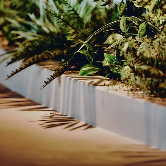 白いプランターボックスに植えられた様々な緑の植物が、明るい壁と地面に長い影を落としている様子